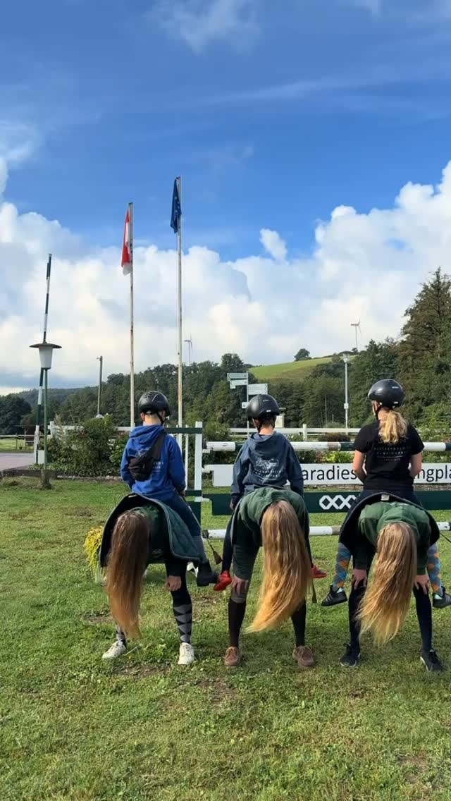 Theresias Reiterparadies : box et paddocks, pension pour chevaux à Waltenhofen - Photo 6 sur 12