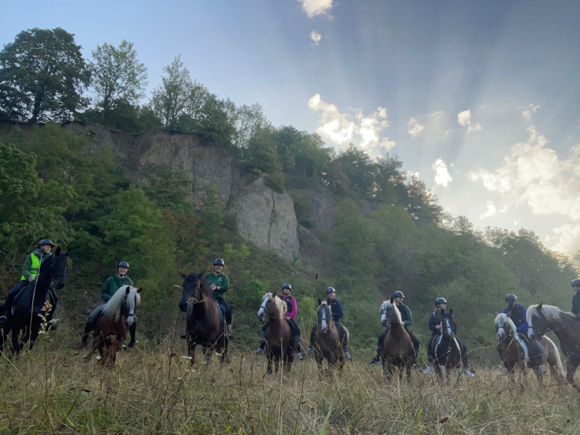 Theresias Reiterparadies : box et paddocks, pension pour chevaux à Waltenhofen - Photo 8 sur 12