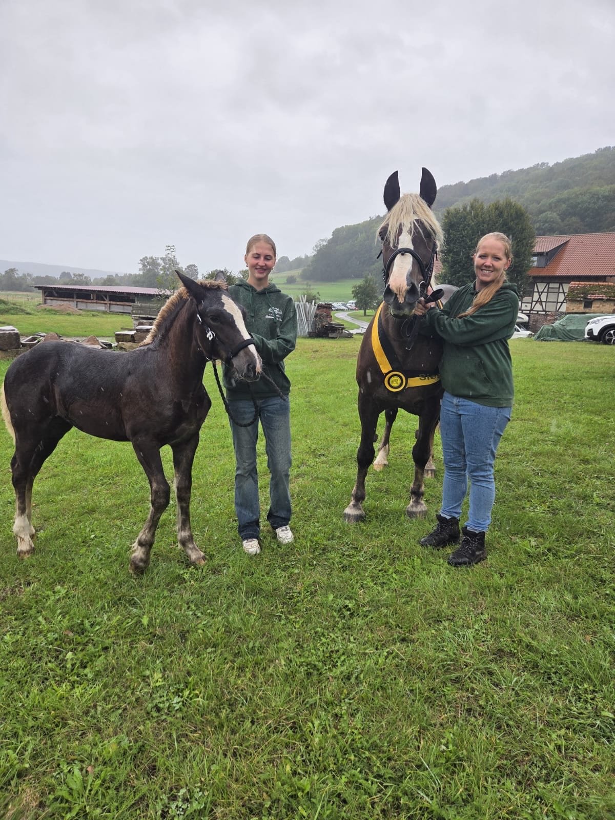 Theresias Reiterparadies : box et paddocks, pension pour chevaux à Waltenhofen - Photo 11 sur 12