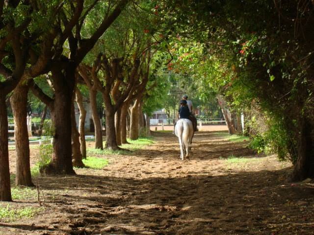 Cercle de l'étrier de Dakar : box et paddocks, pension pour chevaux à Dakar - Photo 1 sur 4