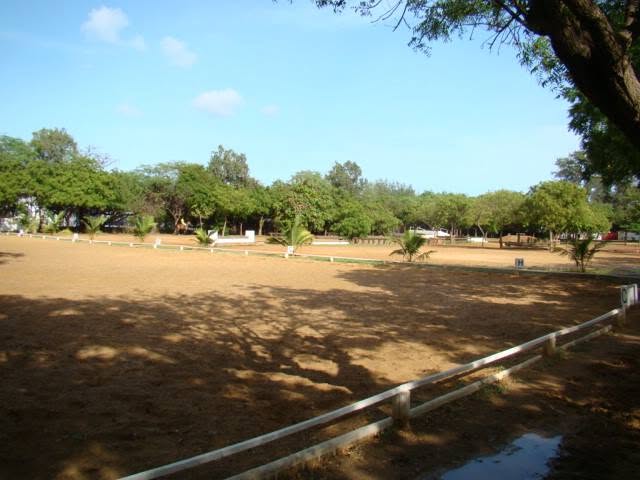 Cercle de l'étrier de Dakar : box et paddocks, pension pour chevaux à Dakar - Photo 4 sur 4