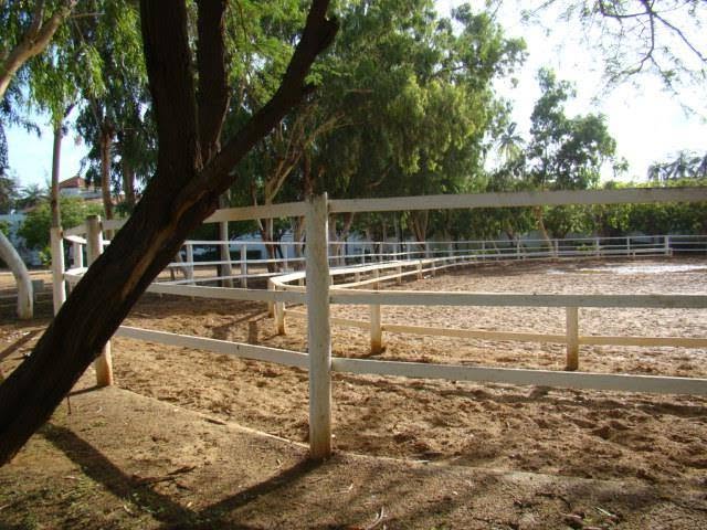 Cercle de l'étrier de Dakar : box et paddocks, pension pour chevaux à Dakar - Photo 2 sur 4