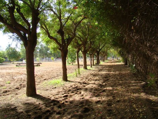 Cercle de l'étrier de Dakar : box et paddocks, pension pour chevaux à Dakar - Photo 3 sur 4