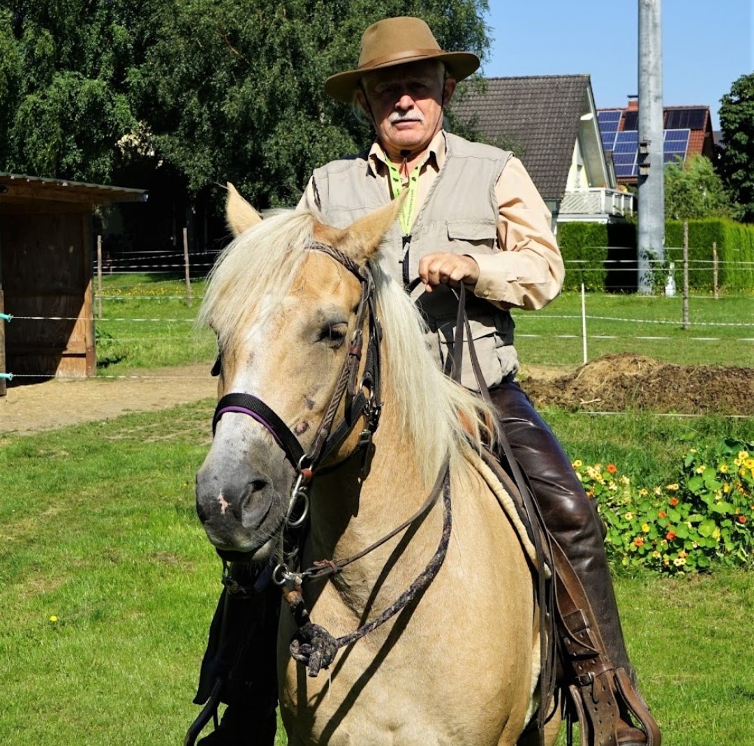 Idarwald-Ranch : box et paddocks, pension pour chevaux à Hottenbach - Photo 1 sur 4