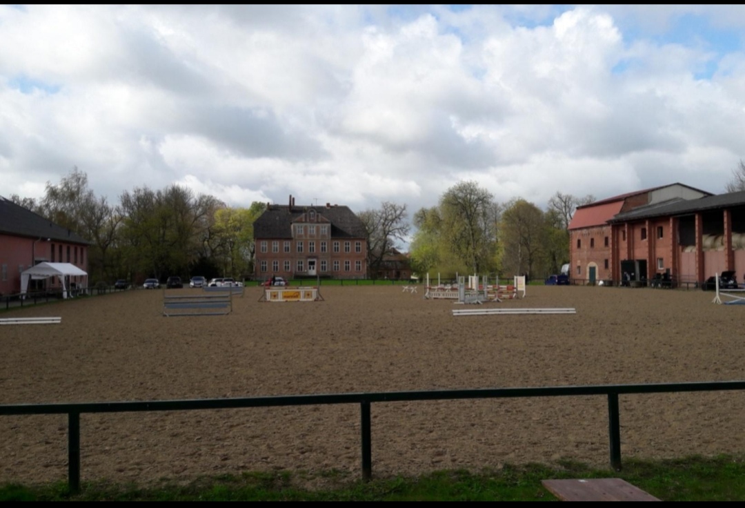 Pferdeland Reez : box et paddocks, pension pour chevaux à Reez / Dummerstorf-Damm - Photo 1 sur 2
