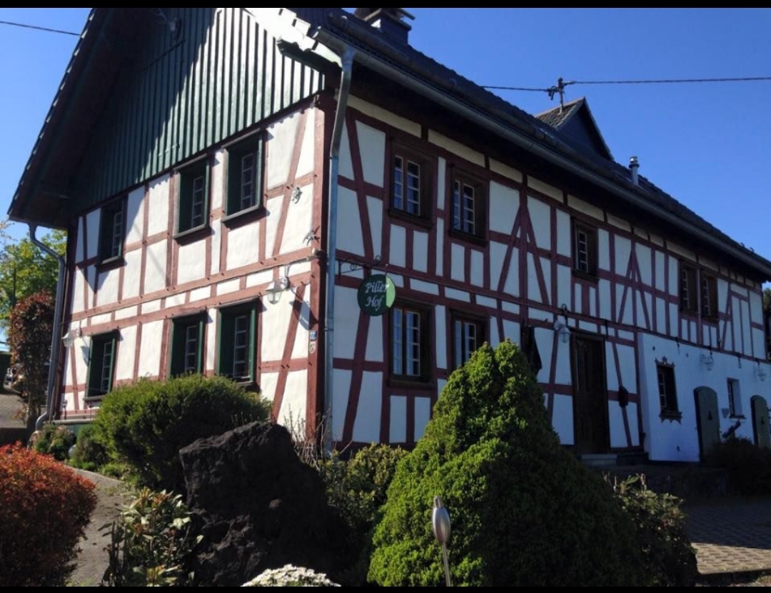 Pillerhof – Wanderreitstation : box et paddocks, pension pour chevaux à Windeck-Leuscheid - Photo 2 sur 3