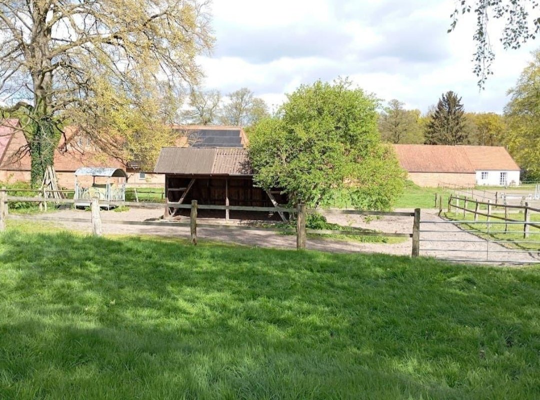Buchenhof-Haberzettl : box et paddocks, pension pour chevaux à Walsrode – OT Nordkampen - Photo 3 sur 3