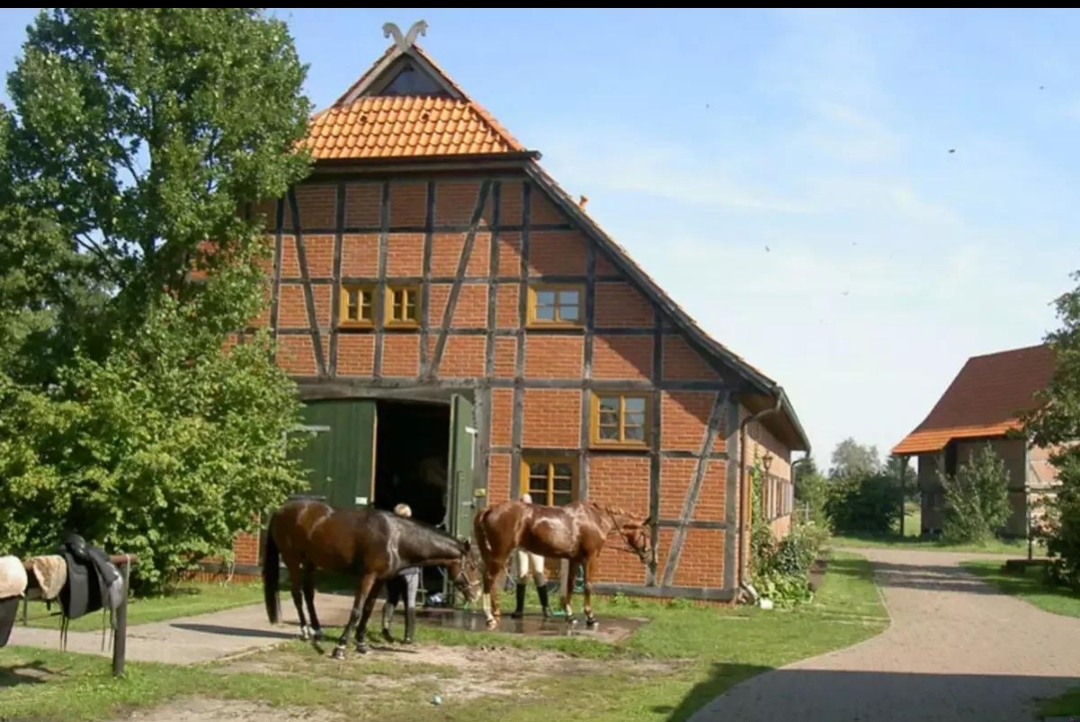 Hof Immenknick : box et paddocks, pension pour chevaux à Wesendorf - Photo 1 sur 3