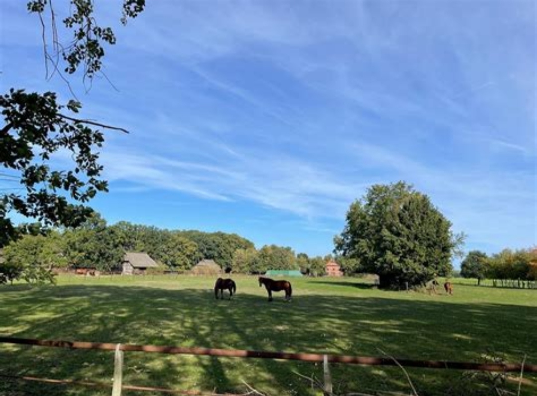 Hof Immenknick : box et paddocks, pension pour chevaux à Wesendorf - Photo 2 sur 3