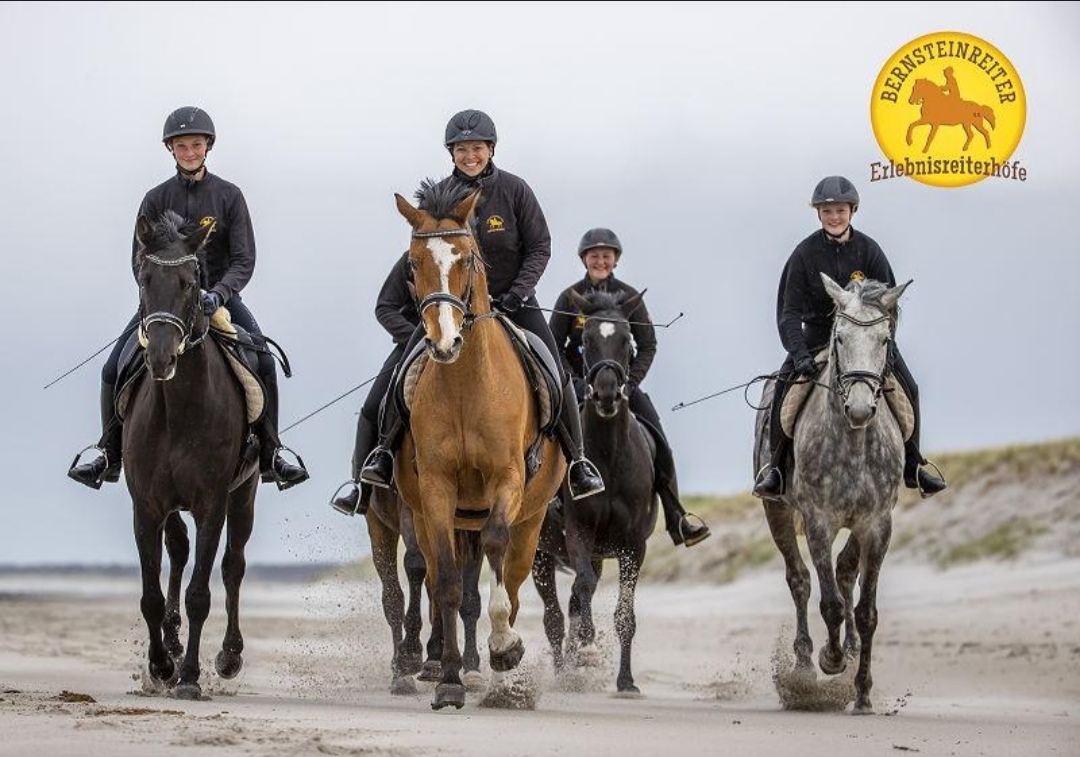 Bernsteinreiter Erlebnisreiterhöfe – Hirschburg : box et paddocks, pension pour chevaux à Ribnitz-Damgarten – OT Hirschburg - Photo 1 sur 3