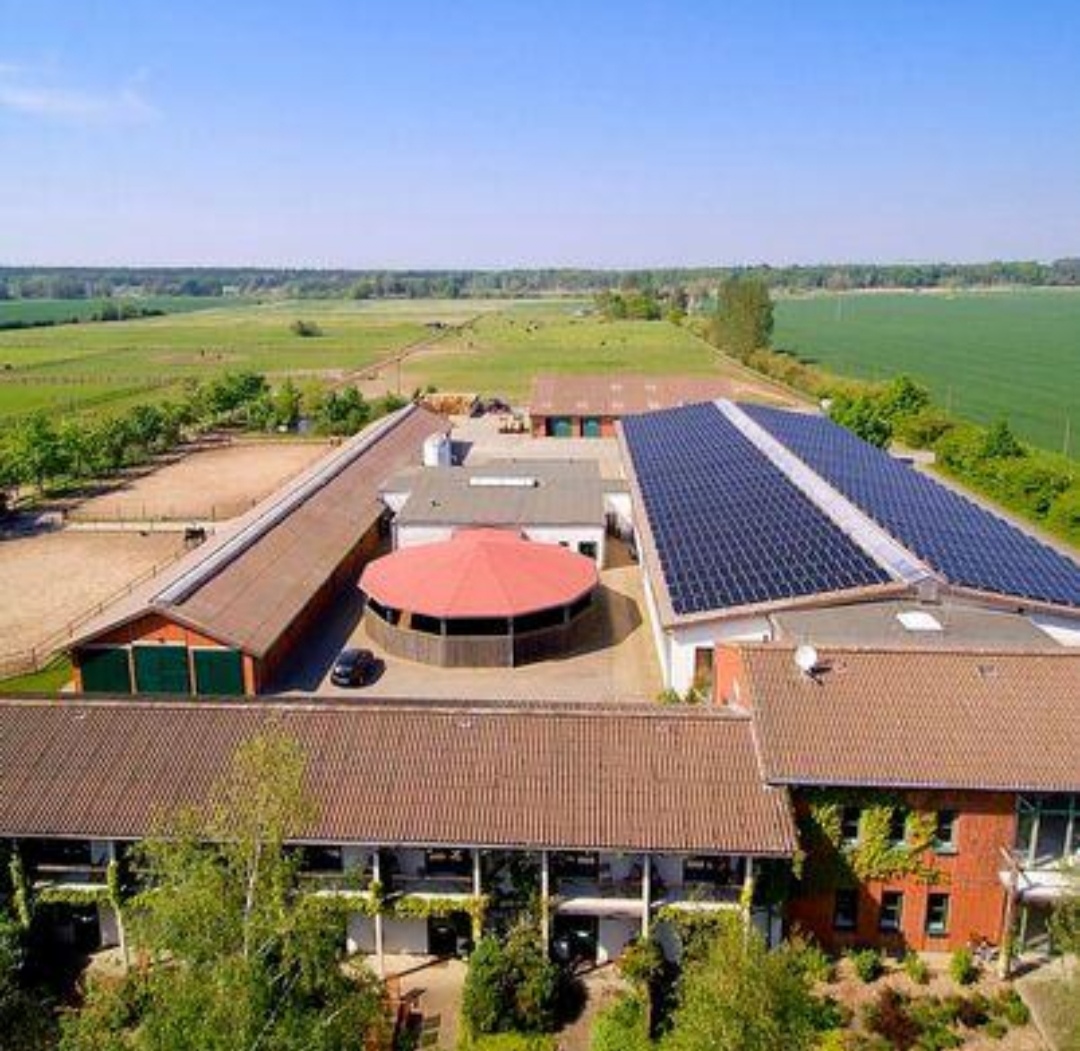 Bernsteinreiter Erlebnisreiterhöfe – Hirschburg : box et paddocks, pension pour chevaux à Ribnitz-Damgarten – OT Hirschburg - Photo 2 sur 3