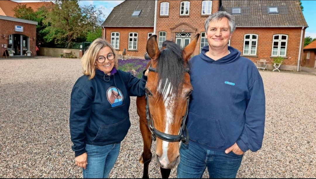 Küselhof & Reiterhof Witt : box et paddocks, pension pour chevaux à Fehmarn-Wulfen - Photo 2 sur 3