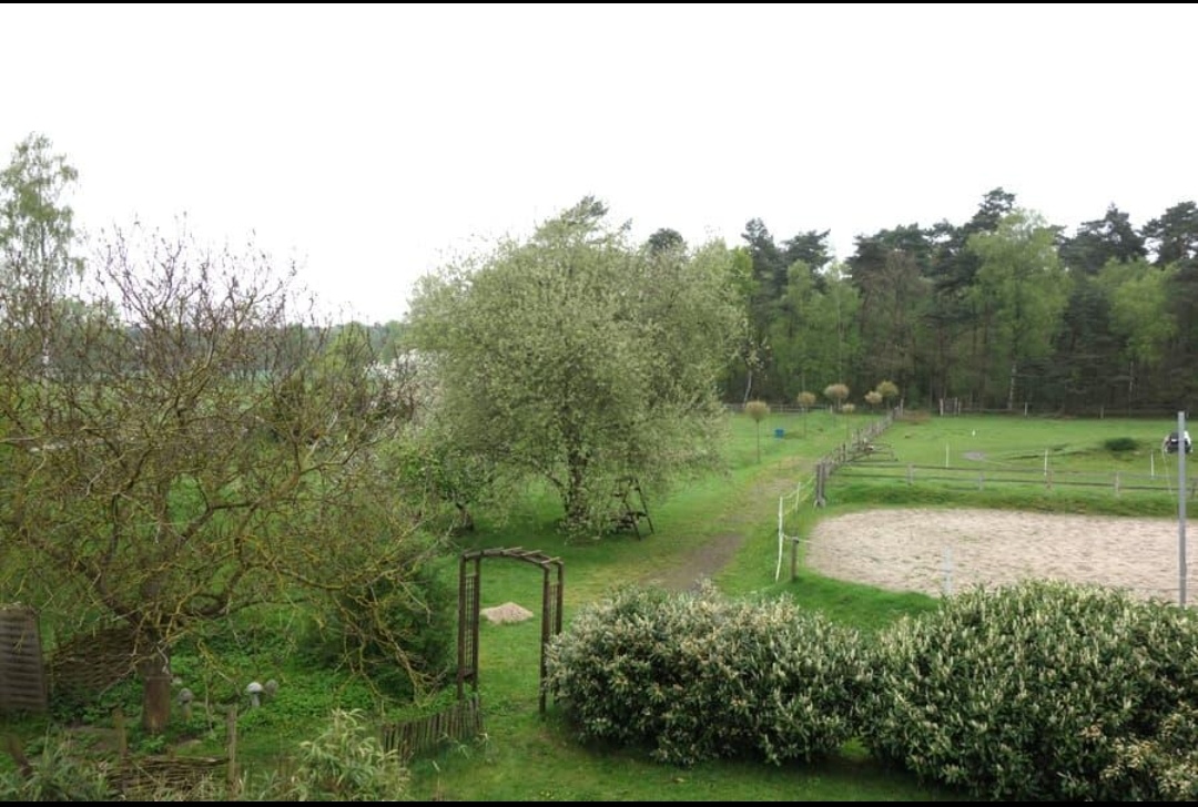 Ferienwohnung Nina – Urlaub mit eigenem Pferd : box et paddocks, pension pour chevaux à Egestorf – Schätzendorf - Photo 4 sur 4