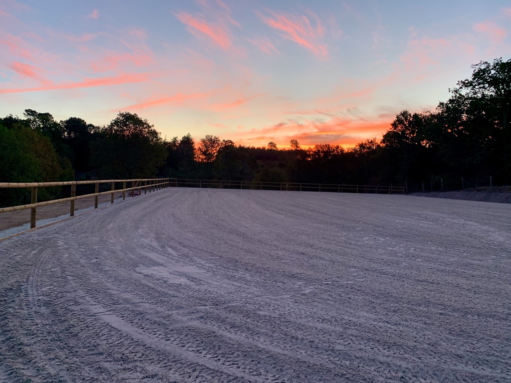 Domaine de Lescure : box et paddocks, pension pour chevaux à BROSSAC - Photo 1 sur 12