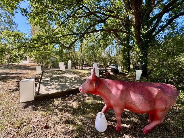 Domaine de Lescure : box et paddocks, pension pour chevaux à BROSSAC - Photo 11 sur 12