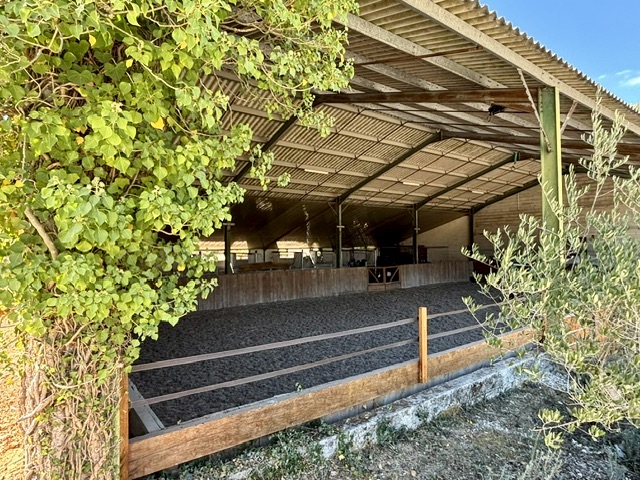 Domaine de Lescure : box et paddocks, pension pour chevaux à BROSSAC - Photo 10 sur 12