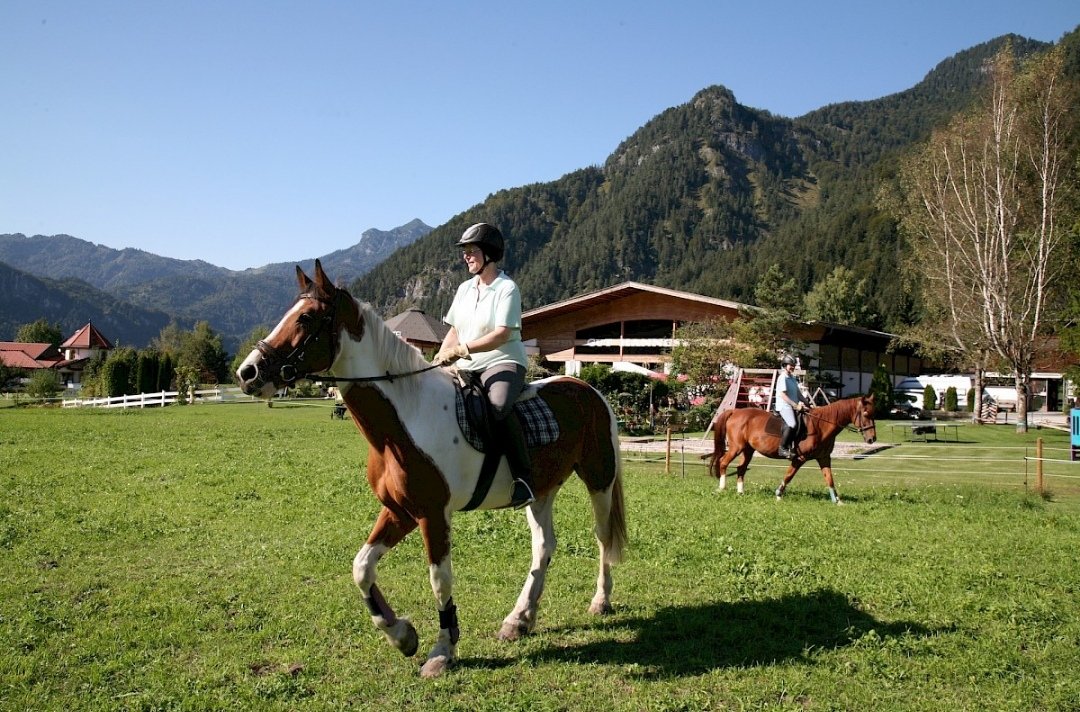 Gut Hanneshof : box et paddocks, pension pour chevaux à Erpfendorf - Photo 3 sur 5
