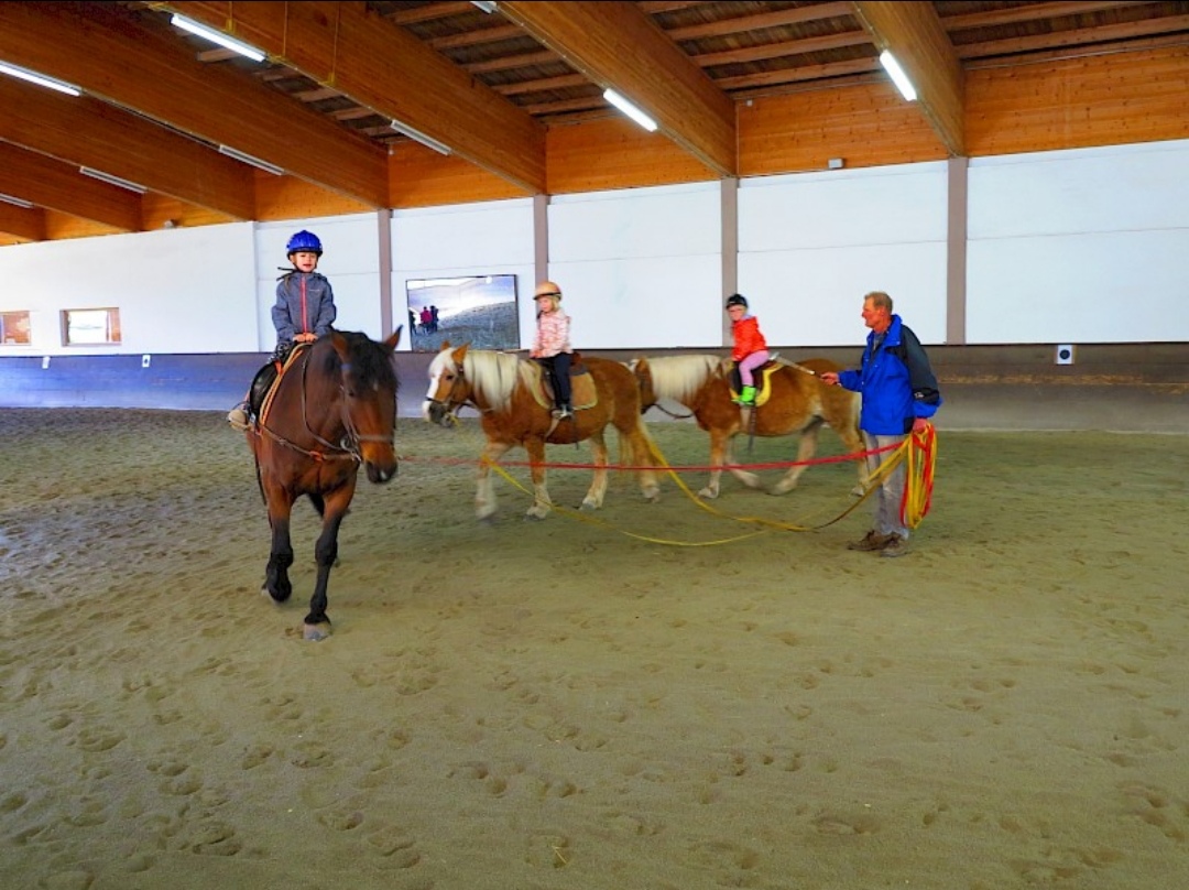 Gut Hanneshof : box et paddocks, pension pour chevaux à Erpfendorf - Photo 2 sur 5