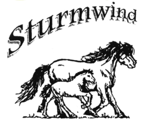 Ponyhof Sturmwind : box et paddocks, pension pour chevaux à Interlaken - Photo 1 sur 4