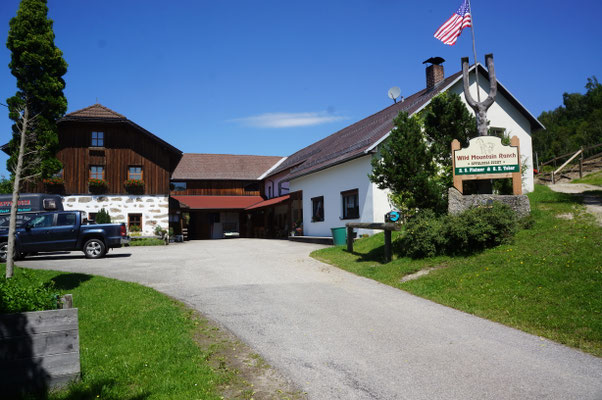 Wild Mountain Ranch : box et paddocks, pension pour chevaux à Unterweißenbach - Photo 10 sur 12