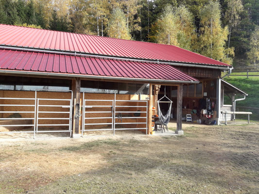 Wild Mountain Ranch : box et paddocks, pension pour chevaux à Unterweißenbach - Photo 3 sur 12