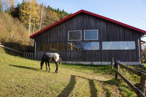 Wild Mountain Ranch : box et paddocks, pension pour chevaux à Unterweißenbach - Photo 5 sur 12