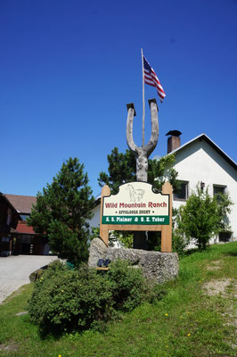 Wild Mountain Ranch : box et paddocks, pension pour chevaux à Unterweißenbach - Photo 11 sur 12