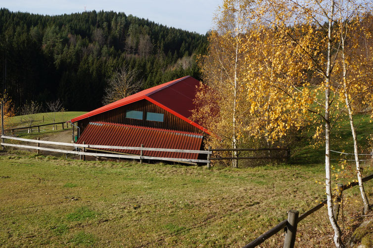 Wild Mountain Ranch : box et paddocks, pension pour chevaux à Unterweißenbach - Photo 6 sur 12