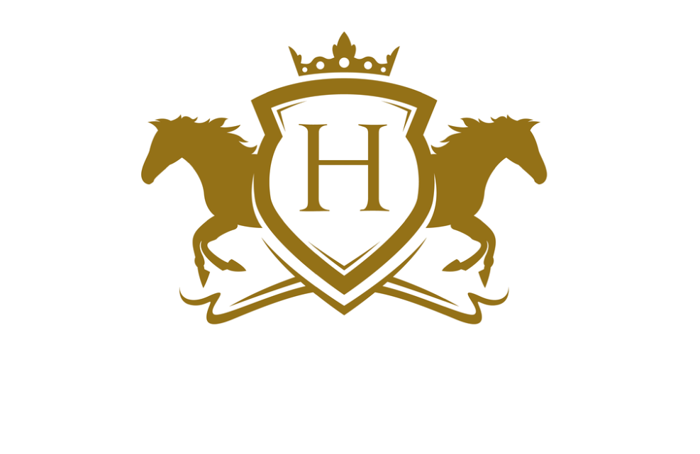 Stegeman’s Horse Hotel & Country Lodge : box et paddocks, pension pour chevaux à Ljungby - Photo 1 sur 6