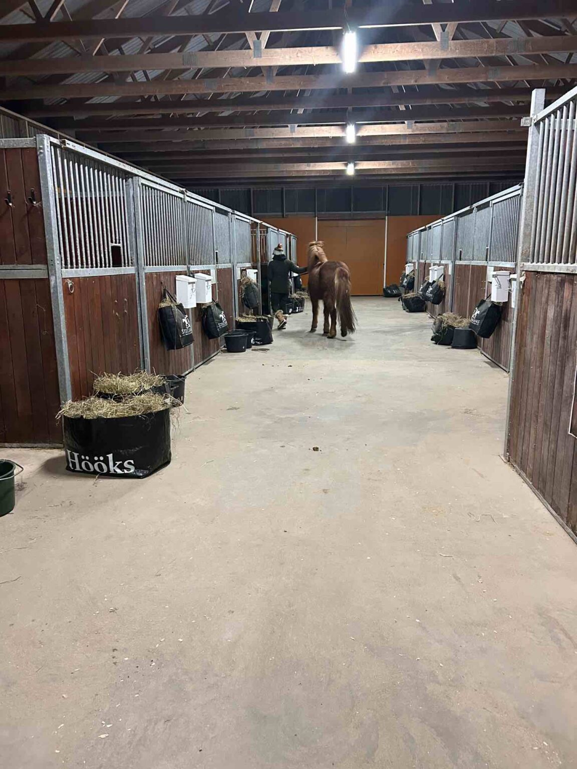 Stegeman’s Horse Hotel & Country Lodge : box et paddocks, pension pour chevaux à Ljungby - Photo 2 sur 6