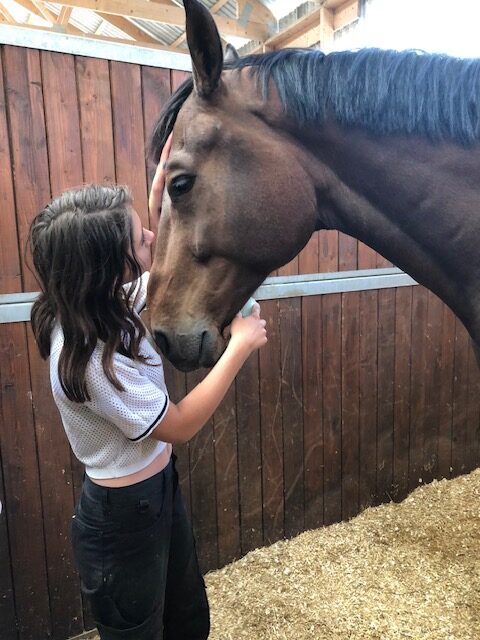 Stegeman’s Horse Hotel & Country Lodge : box et paddocks, pension pour chevaux à Ljungby - Photo 6 sur 6