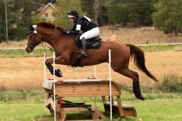 Säva Ridcenter AB : box et paddocks, pension pour chevaux à Örsundsbro - Photo 5 sur 6