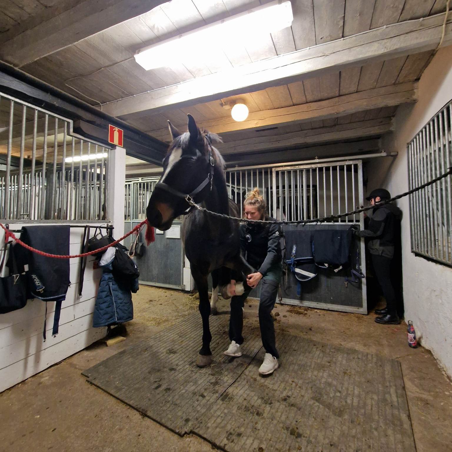Säva Ridcenter AB : box et paddocks, pension pour chevaux à Örsundsbro - Photo 2 sur 6