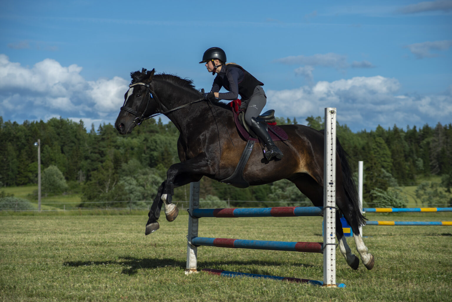 Säva Ridcenter AB : box et paddocks, pension pour chevaux à Örsundsbro - Photo 3 sur 6