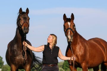 Säva Ridcenter AB : box et paddocks, pension pour chevaux à Örsundsbro - Photo 4 sur 6
