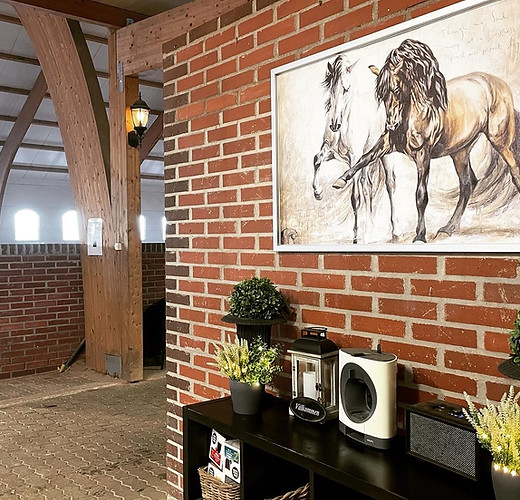 Bärsta Gård : box et paddocks, pension pour chevaux à Kolbäck - Photo 9 sur 10