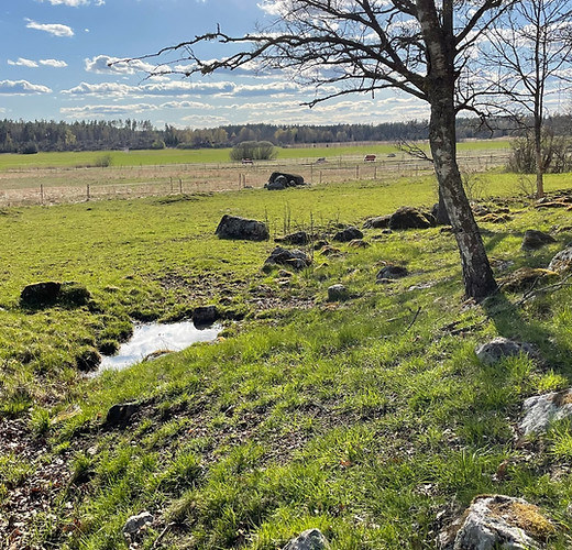 Bärsta Gård : box et paddocks, pension pour chevaux à Kolbäck - Photo 3 sur 10