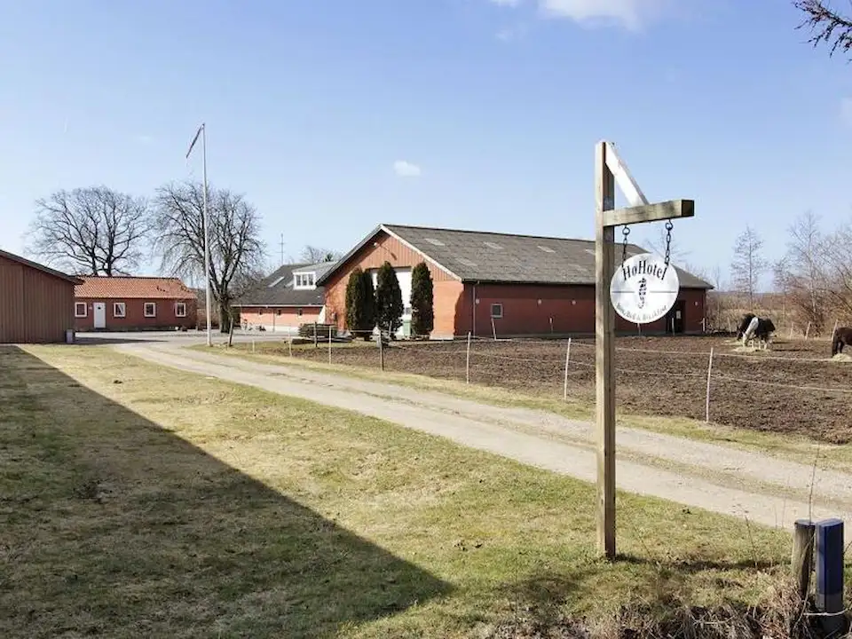Høhotel Flauenskjold : box et paddocks, pension pour chevaux à Dronninglund - Photo 1 sur 4