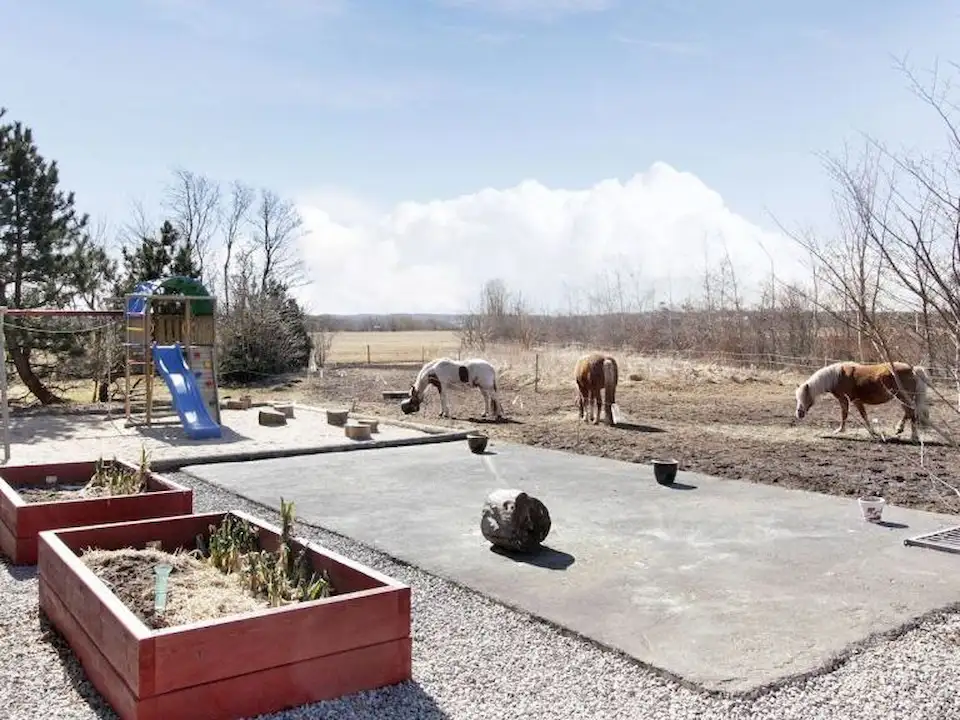 Høhotel Flauenskjold : box et paddocks, pension pour chevaux à Dronninglund - Photo 3 sur 4