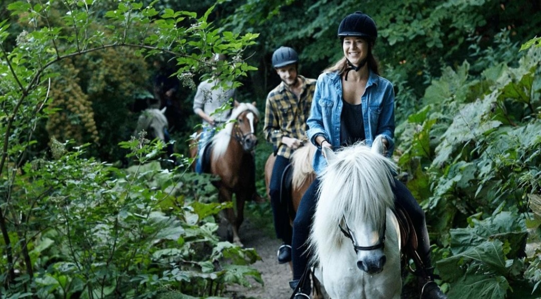 Rebild Camping Safari : box et paddocks, pension pour chevaux à Skørping - Photo 3 sur 4