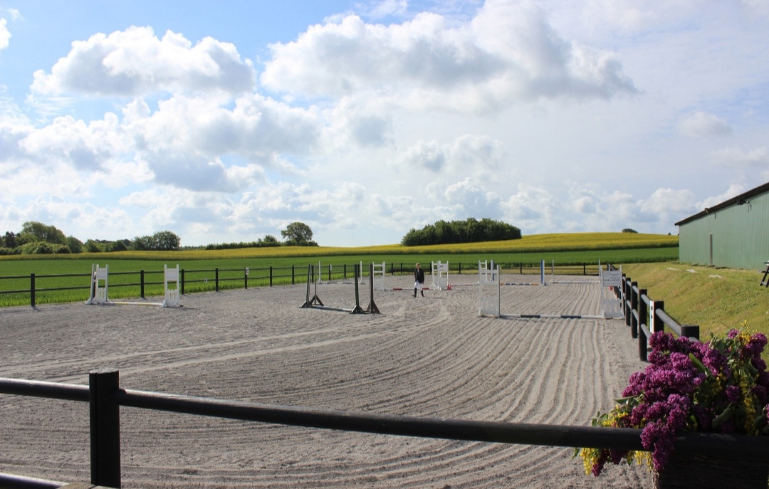 Fogedgaardens Hestepension : box et paddocks, pension pour chevaux à Kalvehave - Photo 2 sur 6