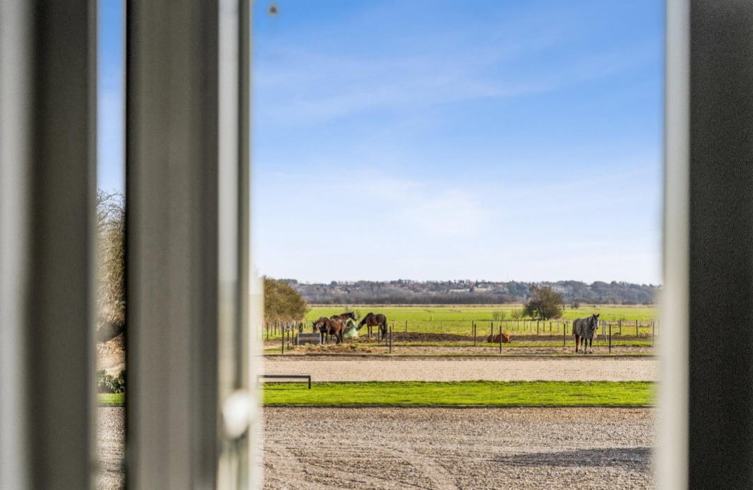 Askeris B&B : box et paddocks, pension pour chevaux à Faaborg - Photo 4 sur 5