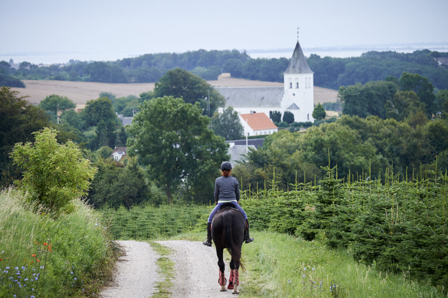Askeris B&B : box et paddocks, pension pour chevaux à Faaborg - Photo 5 sur 5