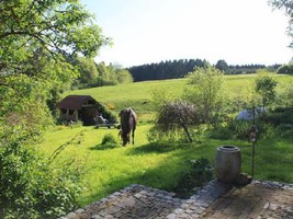 Lindenhof-Bergenhausen : box et paddocks, pension pour chevaux à Altenkirchen (Westerwald) - Photo 4 sur 6