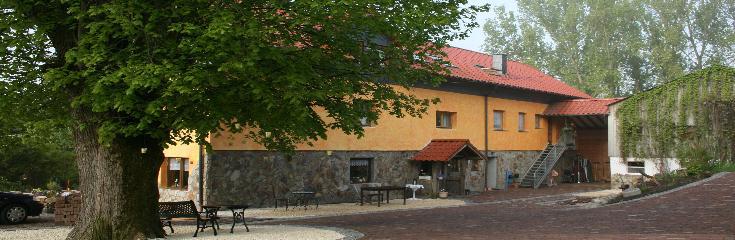 Lindenhof-Bergenhausen : box et paddocks, pension pour chevaux à Altenkirchen (Westerwald) - Photo 6 sur 6