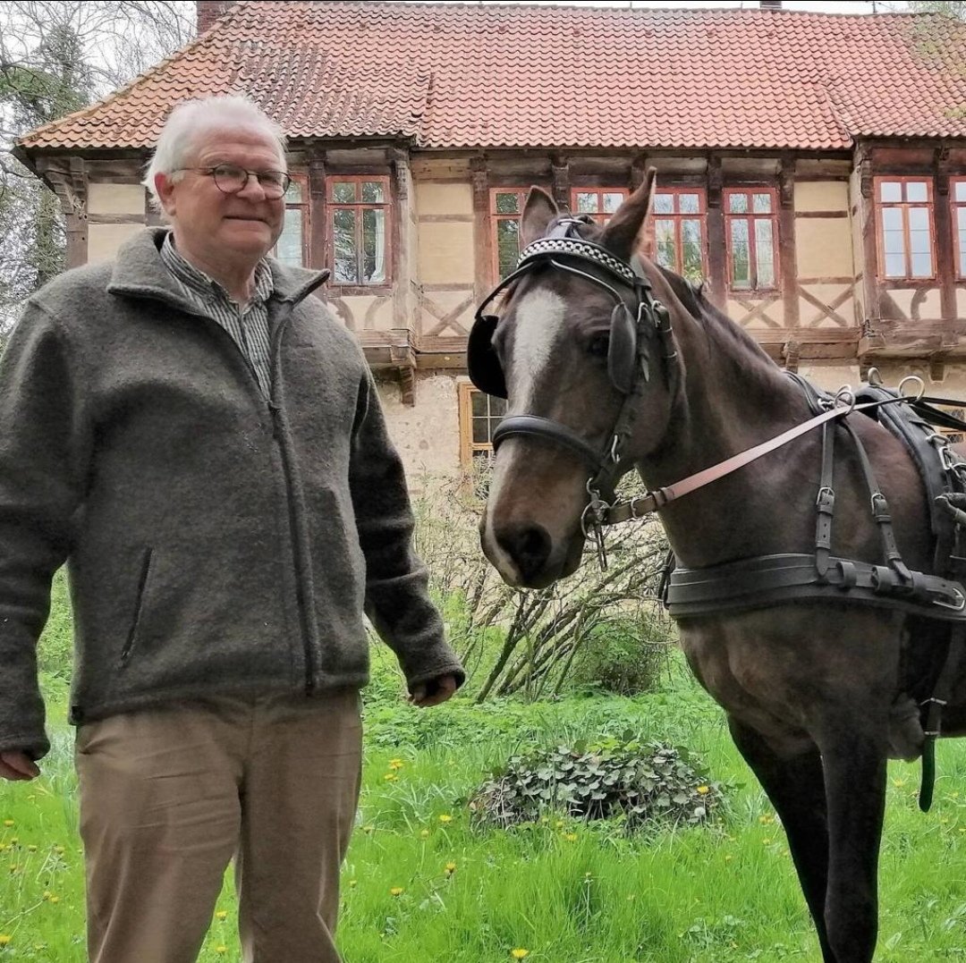 Rittergut Brokeloh : box et paddocks, pension pour chevaux à Landesbergen-Brokeloh - Photo 1 sur 4