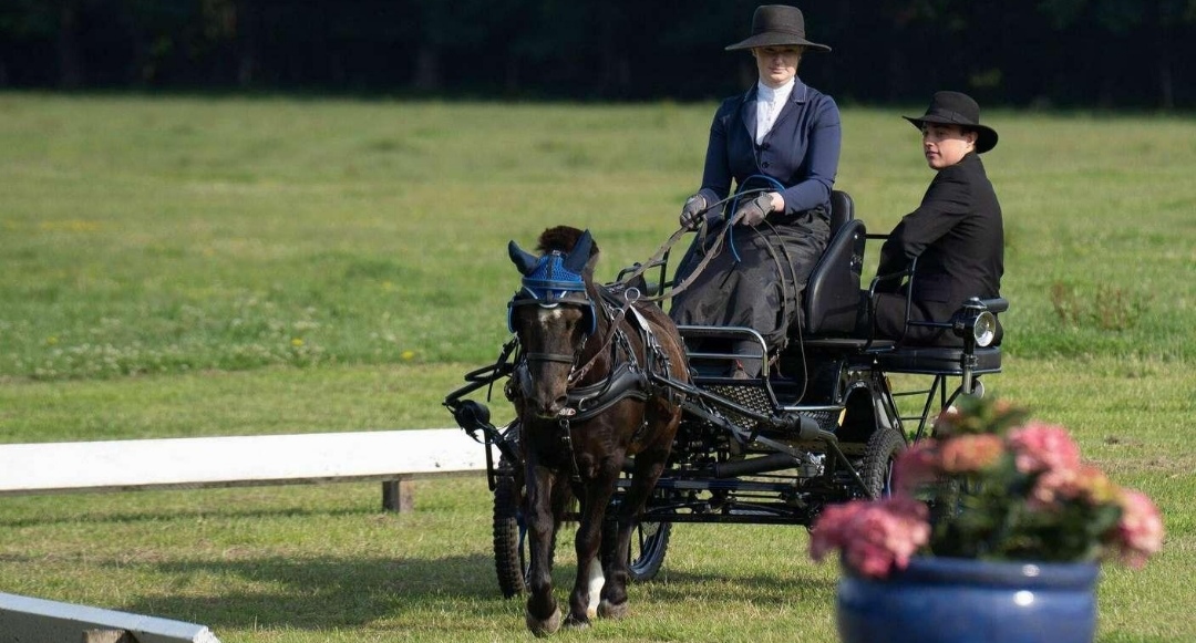 Rittergut Brokeloh : box et paddocks, pension pour chevaux à Landesbergen-Brokeloh - Photo 3 sur 4
