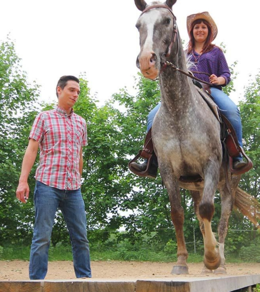 Schäferei Weidewerk – Westernhorse Academy : box et paddocks, pension pour chevaux à Walsrode - Photo 2 sur 2