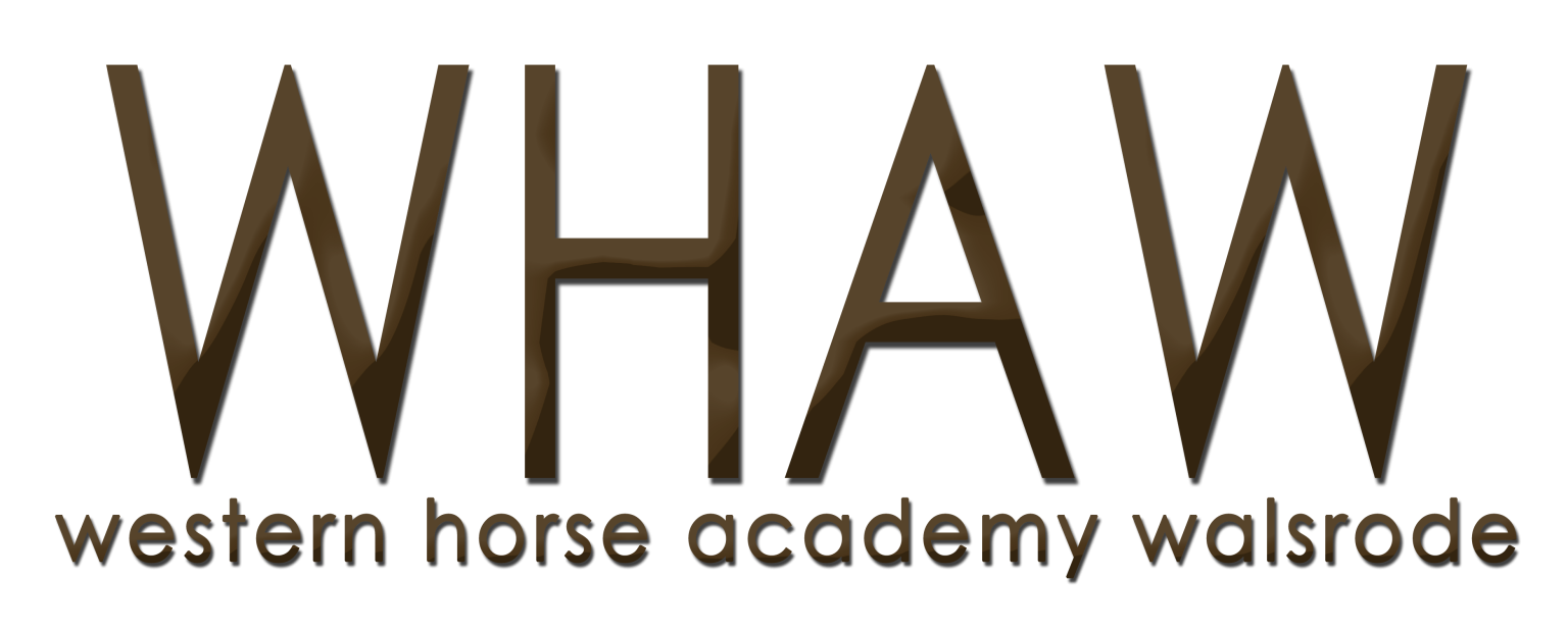 Schäferei Weidewerk – Westernhorse Academy : box et paddocks, pension pour chevaux à Walsrode - Photo 1 sur 2