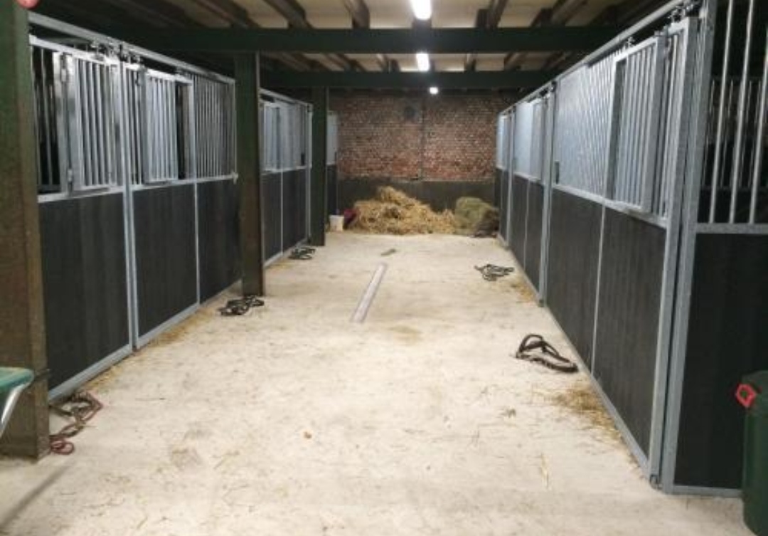 Heithoeve : box et paddocks, pension pour chevaux à Pelt (Overpelt) - Photo 2 sur 2